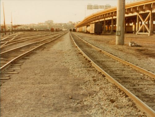 yard4.jpg